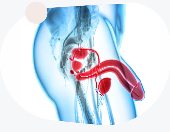 StaminUp testosterone booster for men in Canada